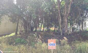 Imagem 4: Terreno pronto para construir em picarras