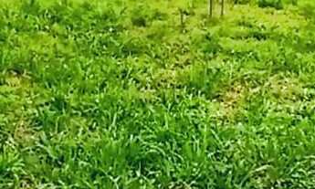 Imagem 4: Terreno em condomínio fechado em Balneario Picarras Sc