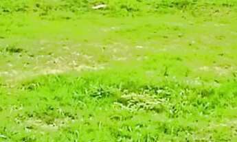 Imagem 4: Terreno em condomínio fechado em Balneário Piçarras Sc