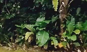 Imagem: Terreno em condomínio fechado Balneário