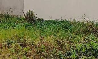 Imagem 3: Terreno pronto para construir