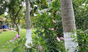 Imagem 4: Sitio completo em balneário piçarras