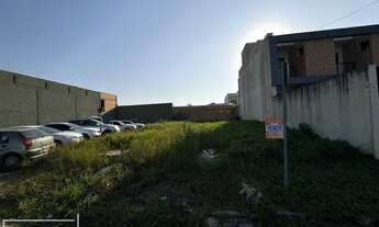 Imagem 7: Terreno pronto para construir