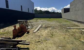 Imagem 2: Terreno pronto para construir em rua calcada