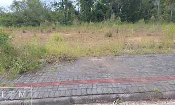 Imagem 3: Terreno pronto para construir