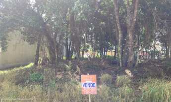 Imagem 3: Terreno pronto para construir em picarras