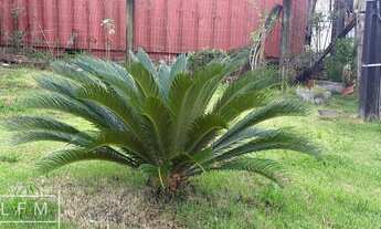 Imagem 5: Casa em alvenaria