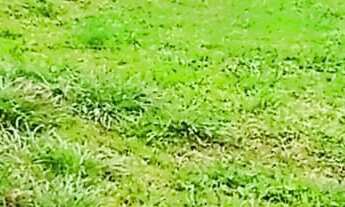 Imagem 5: Terreno em condomínio fechado em Balneario Picarras Sc