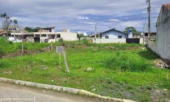 Imagem 5: Terreno em rua calcada
