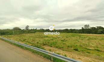Imagem: Terreno comercial frente para a BR 287 a