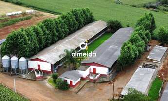 Imagem: Chácara 2 dormitórios à venda São Jacó