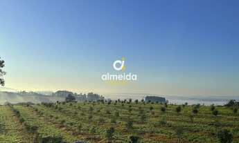 Imagem: Chácara 3 dormitórios à venda Zona Rural