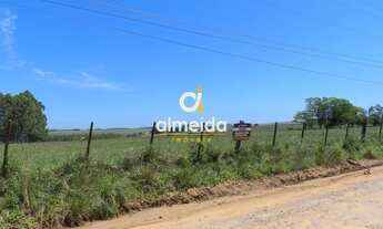 Imagem: ÁREA DE TERRA COM 13ha