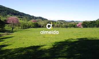 Imagem 4: Chácara 3 dormitórios à venda Zona rural Restinga Seca/RS