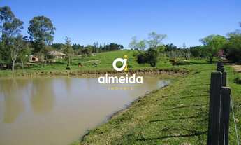 Imagem 7: Chácara 3 dormitórios à venda Zona rural Restinga Seca/RS