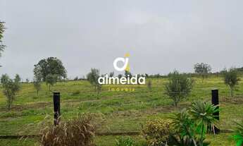 Imagem 7: Chácara 3 dormitórios à venda Zona Rural Butiá/RS