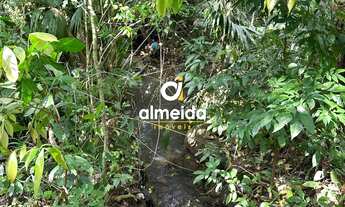 Imagem 5: Terreno à venda Nossa Senhora do Perpétuo Socorro Santa Maria/RS