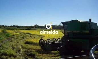 Imagem 7: Campo à venda Doutor Florêncio Aquino Guimarães São Borja/RS