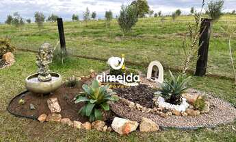 Imagem 6: Chácara 3 dormitórios à venda Zona Rural Butiá/RS