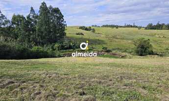 Imagem 5: Chácara 2 dormitórios à venda Pains Santa Maria/RS