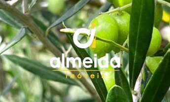 Imagem 3: Chácara 3 dormitórios à venda Zona Rural Butiá/RS