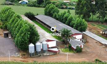 Imagem 3: Chácara 2 dormitórios à venda São Jacó Teutônia/RS