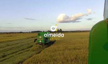 Imagem 4: Campo à venda Doutor Florêncio Aquino Guimarães São Borja/RS