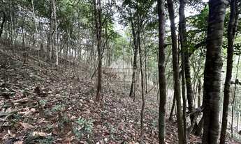 Imagem 7: Terreno com 1 hectare todo cercado com estacas de cimento