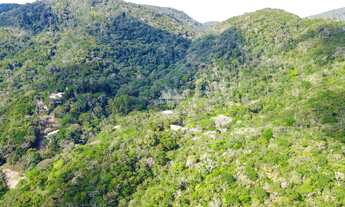 Imagem 6: Sítio com decoração japonesa, possuindo casa principal de 520m² com 05 amplas su