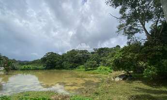 Imagem 4: Sítio com 60 ha, com 06 casas, 08 olhos dgua, 05 barragens e árvores frutíferas