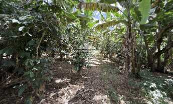 Imagem 2: Sítio de 7 hectares com 3 estábulos e vista em Mulungu