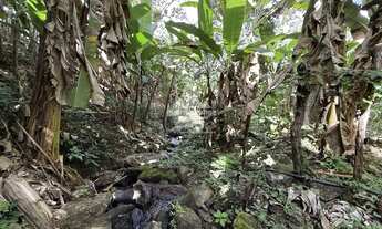 Imagem 4: Sitio de 3 HA com uma nascente e muitas fruteiras