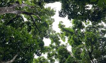 Imagem 5: Terreno plano com área total de 2.204,65m² em Mulungu/CE