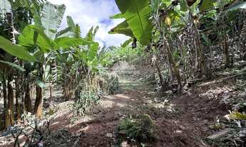 Imagem 7: Sitio de 3 HA com uma nascente e muitas fruteiras