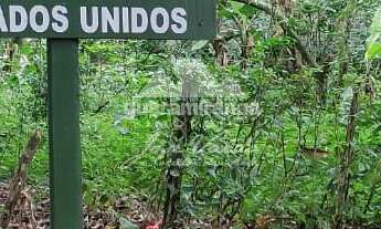 Imagem: Sítio com 60 ha, com 06 casas, 08 olhos