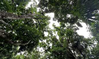 Imagem 4: Terreno plano com área total de 2.204,65m² em Mulungu/CE