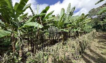 Imagem 6: Sitio de 3 HA com uma nascente e muitas fruteiras