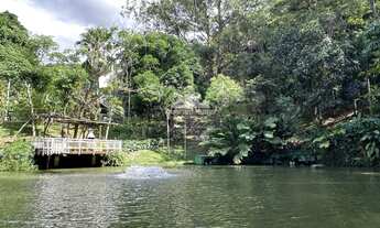 Imagem: Sítio em meio a floresta projetada pelo