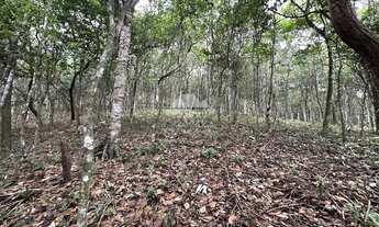 Imagem 4: Terreno com 1 hectare todo cercado com estacas de cimento