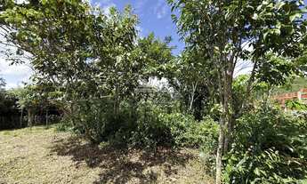 Imagem 3: Terreno com frente de 24,93m, com uma excelente área plana e vista