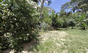 Imagem 5: Sítio de 7 hectares com 3 estábulos e vista em Mulungu