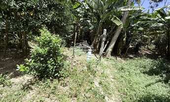 Imagem 4: Sítio de 7 hectares com 3 estábulos e vista em Mulungu