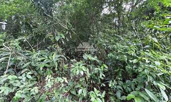 Imagem 6: Gleba em Pacoti com 956,80 m² com matricula