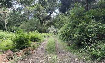 Imagem 2: Gleba em Pacoti com 956,80 m² com matricula