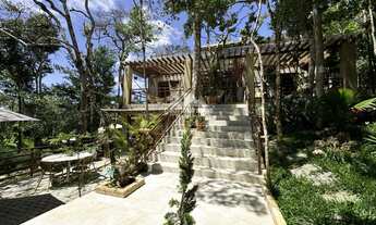 Imagem: CASA DA ÁRVORE UM LUXO NO ALTO DA SERRA