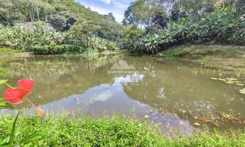 Imagem 4: Sítio de 12,5 ha, com casa sede e casa de funcionários, com lago perene e muitas
