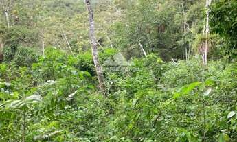 Imagem 5: Gleba com 2.500,99 m² a venda com escritura, matrícula e belo projeto em andamen