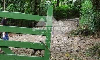 Imagem 6: Sítio com 60 ha, com 06 casas, 08 olhos dgua, 05 barragens e árvores frutíferas