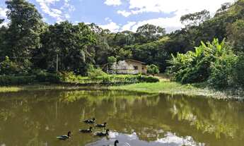 Imagem: Sítio de 12,5 ha, com casa sede e casa