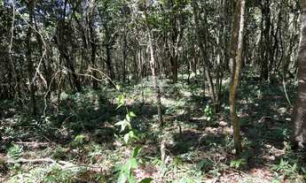 Imagem 5: Terreno com vista panorâmica em Mulungu